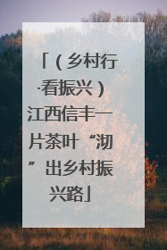 （乡村行·看振兴）江西信丰一片茶叶“沏”出乡村振兴路