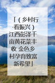 （乡村行·看振兴）江西彭泽千亩黄花菜丰收 金色乡村孕育致富新希望