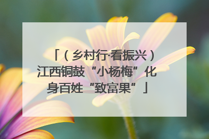 （乡村行·看振兴）江西铜鼓“小杨梅”化身百姓“致富果”