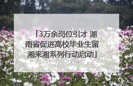 3万余岗位引才 湖南省促进高校毕业生留湘来湘系列行动启动