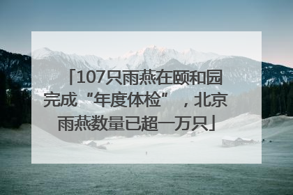 107只雨燕在颐和园完成“年度体检”，北京雨燕数量已超一万只