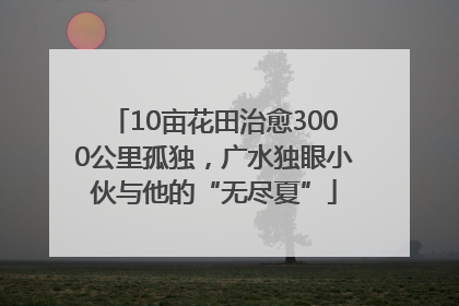 10亩花田治愈3000公里孤独，广水独眼小伙与他的“无尽夏”