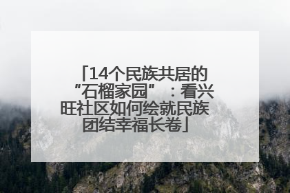 14个民族共居的“石榴家园”：看兴旺社区如何绘就民族团结幸福长卷