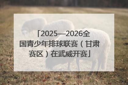 2025—2026全国青少年排球联赛（甘肃赛区）在武威开赛