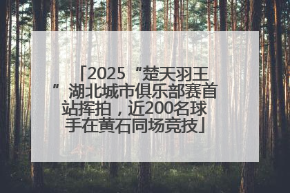2025“楚天羽王”湖北城市俱乐部赛首站挥拍，近200名球手在黄石同场竞技