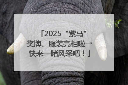 2025“紫马”奖牌、服装亮相啦→快来一睹风采吧！