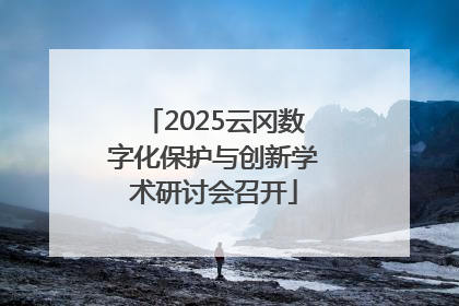 2025云冈数字化保护与创新学术研讨会召开