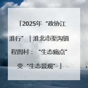 2025年“政协江淮行”｜淮北市渠沟镇程阁村：“生态痛点”变“生态景观”