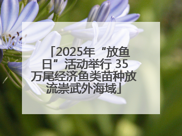 2025年“放鱼日”活动举行 35万尾经济鱼类苗种放流崇武外海域