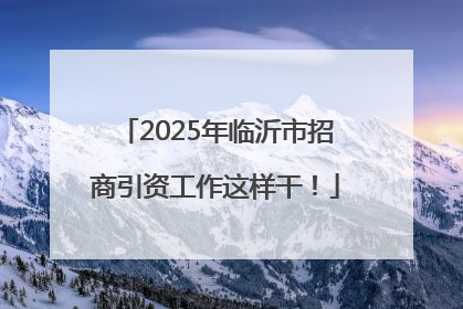 2025年临沂市招商引资工作这样干！