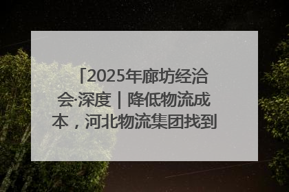 2025年廊坊经洽会·深度｜降低物流成本，河北物流集团找到一把“金钥匙”