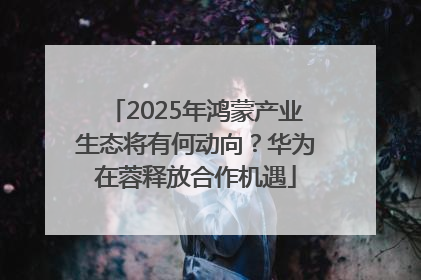 2025年鸿蒙产业生态将有何动向？华为在蓉释放合作机遇