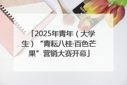 2025年青年（大学生）“青耘八桂·百色芒果”营销大赛开幕