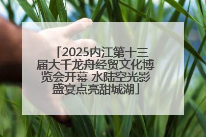 2025内江第十三届大千龙舟经贸文化博览会开幕 水陆空光影盛宴点亮甜城湖