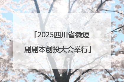 2025四川省微短剧剧本创投大会举行