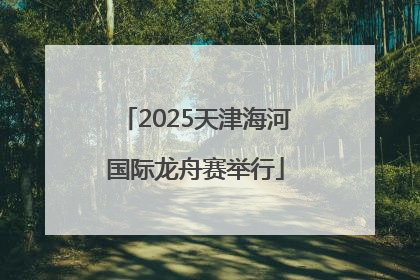 2025天津海河国际龙舟赛举行