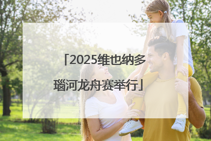 2025维也纳多瑙河龙舟赛举行