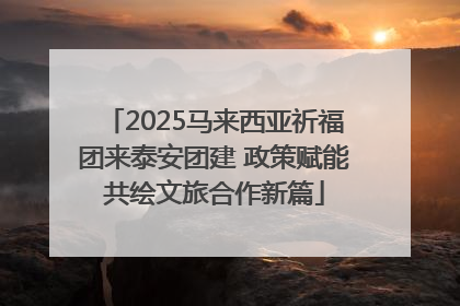 2025马来西亚祈福团来泰安团建 政策赋能共绘文旅合作新篇