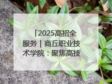 2025高招全服务｜商丘职业技术学院：聚焦高技能人才培养 谱写高质量发展篇章