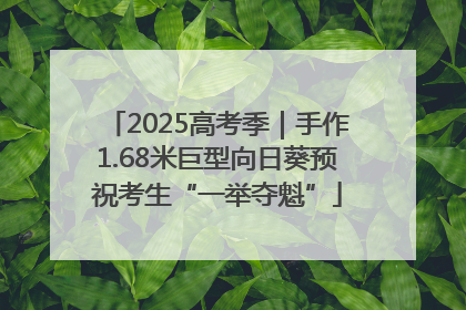 2025高考季｜手作1.68米巨型向日葵预祝考生“一举夺魁”