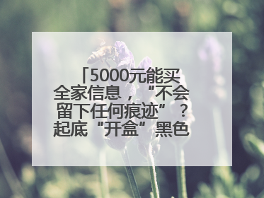 5000元能买全家信息，“不会留下任何痕迹”？起底“开盒”黑色产业链