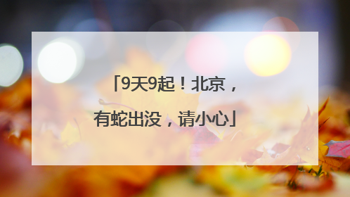 9天9起！北京，有蛇出没，请小心