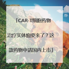 CAR-T细胞药物治疗实体瘤要来了？这款药物申请国内上市