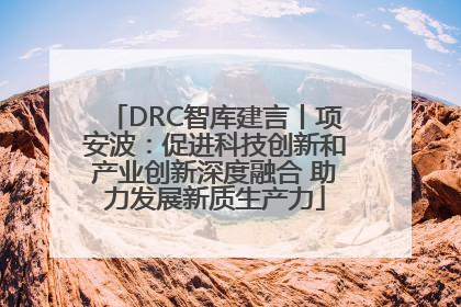 DRC智库建言丨项安波：促进科技创新和产业创新深度融合 助力发展新质生产力