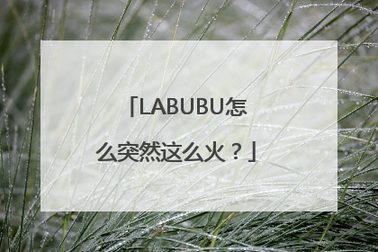LABUBU怎么突然这么火？