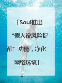 Soul推出“假人设风险提醒”功能，净化网络环境